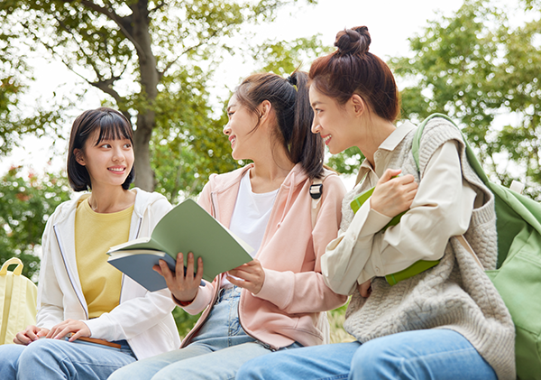 无学历升专/本科学历